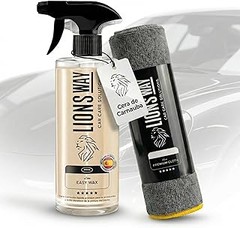 Mejores alternativas a las ceras para moto: pros y contras